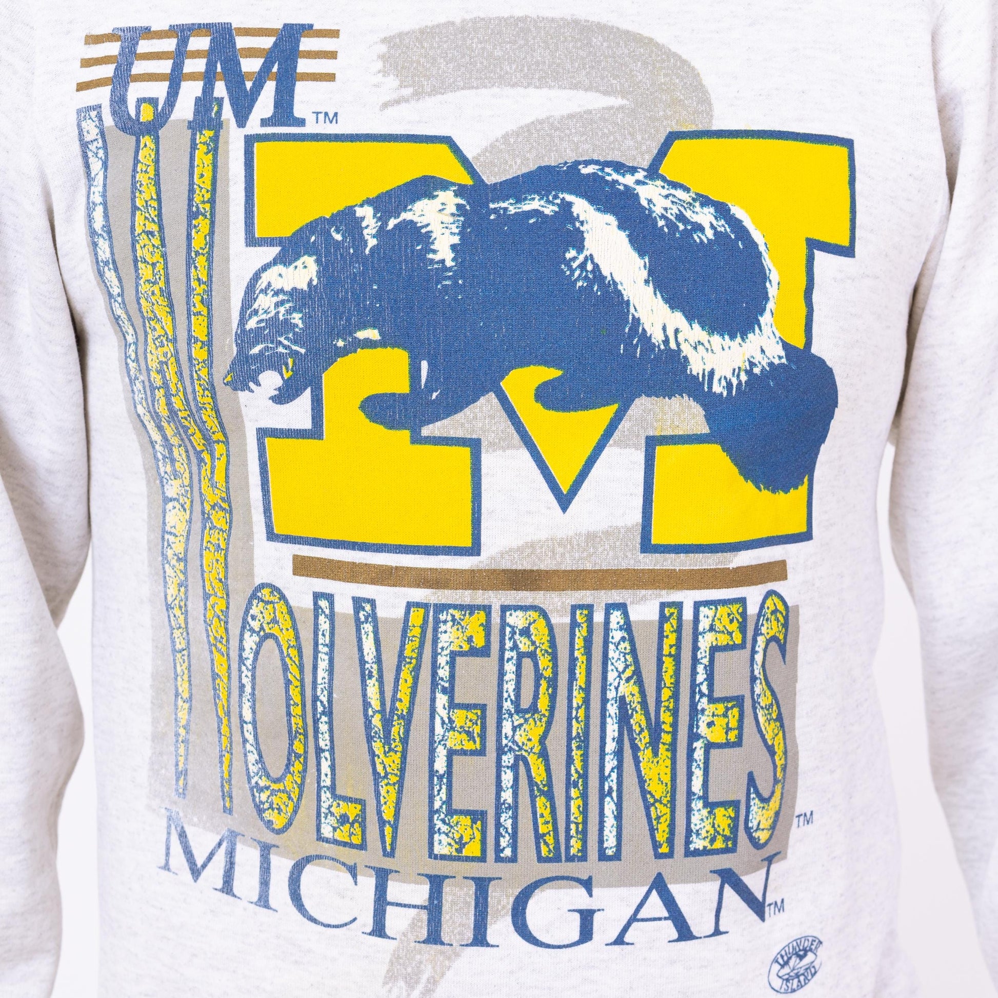 Vintage 90s University Of Michigan Wolverines Sweatshirt - Small | Champion Heather Grey Collegiate Pullover Crew Neck