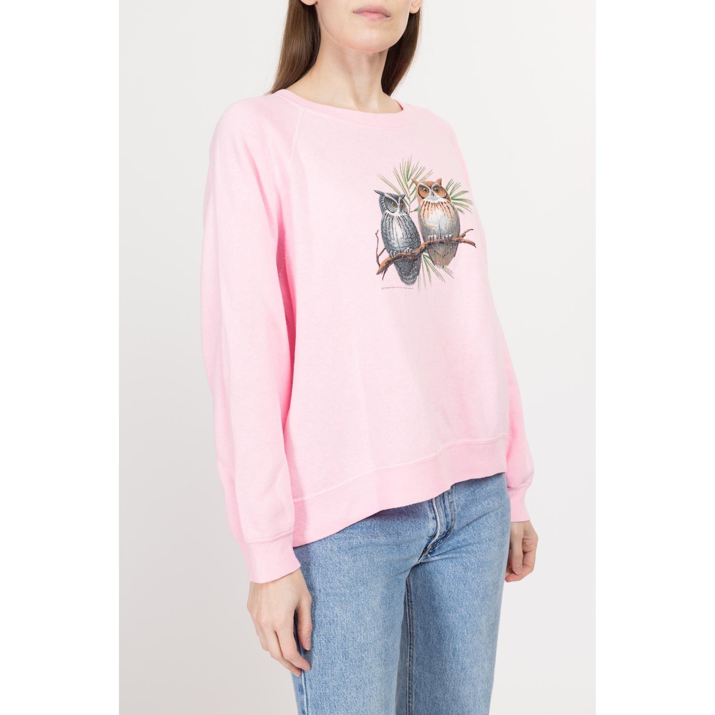 Large 90s Pink Owl Sweatshirt | Vintage Cute Animal Bird Graphic Raglan Sleeve Pullover