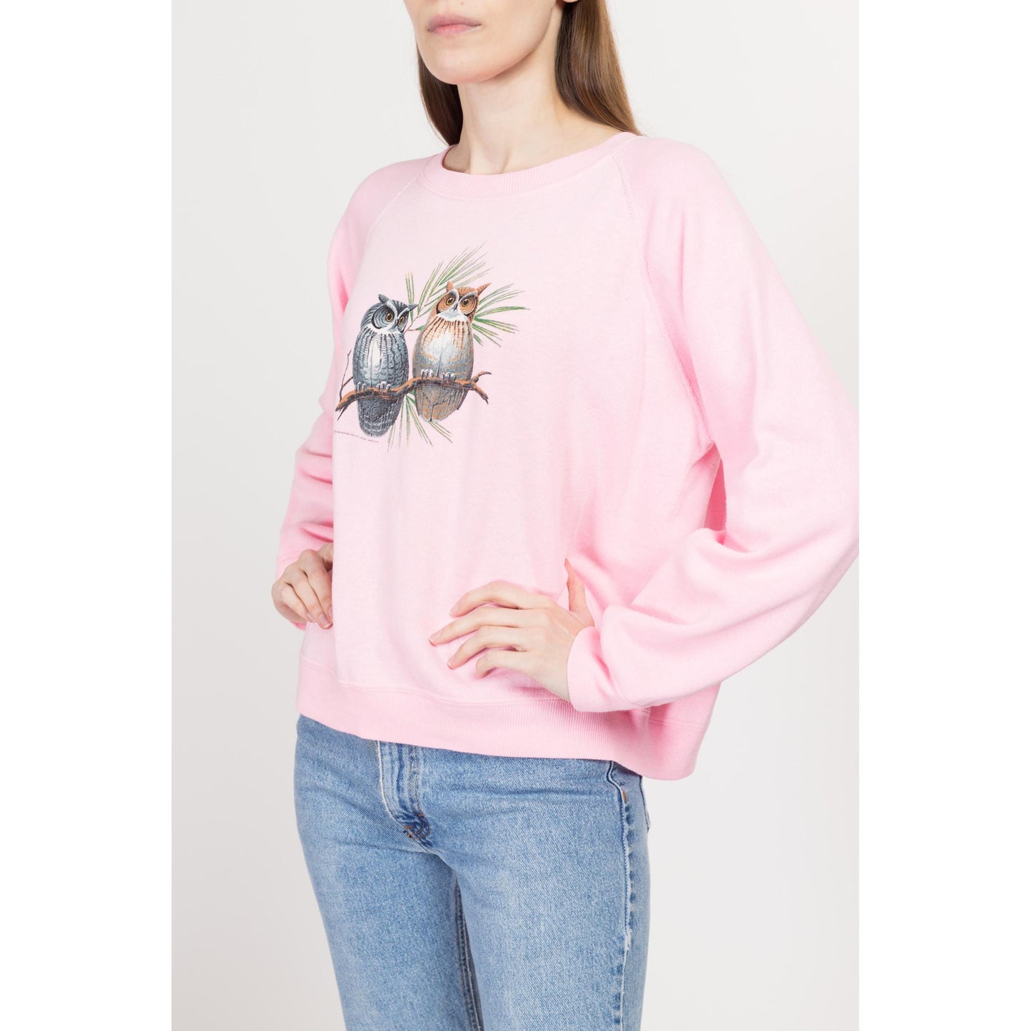 Large 90s Pink Owl Sweatshirt | Vintage Cute Animal Bird Graphic Raglan Sleeve Pullover
