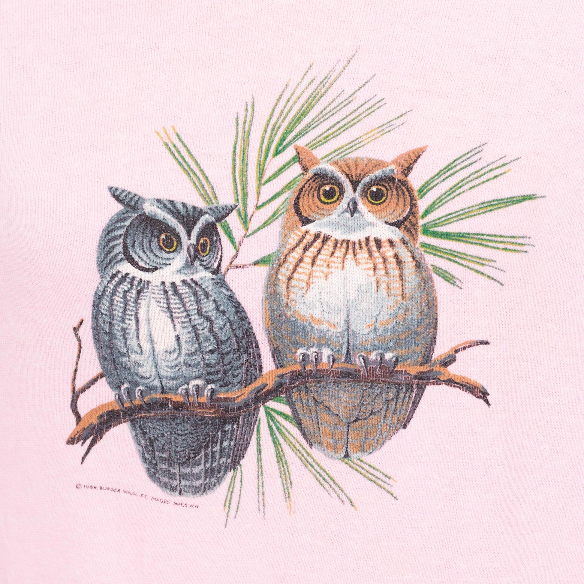 Large 90s Pink Owl Sweatshirt | Vintage Cute Animal Bird Graphic Raglan Sleeve Pullover