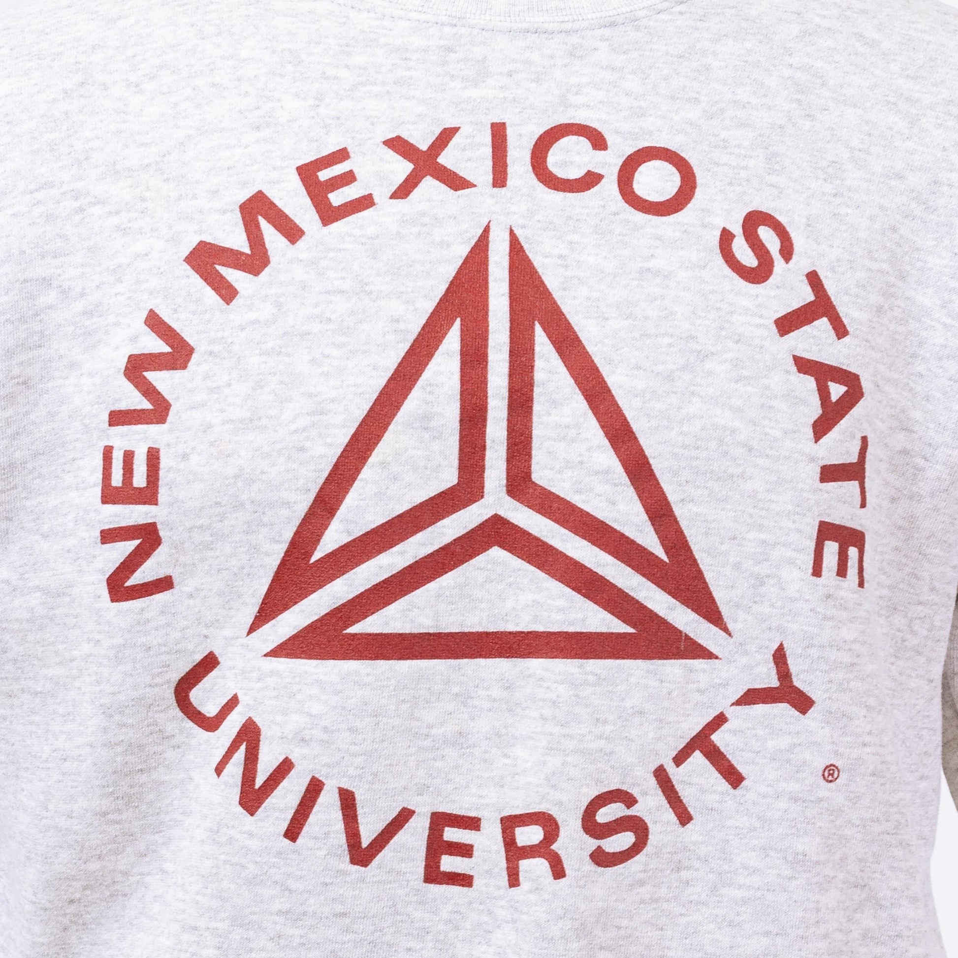 3 Vintage 90s New Mexico State University Sweatshirt - Medium | NMSU College Apparel Graphic Crewneck Pullover Sweater
