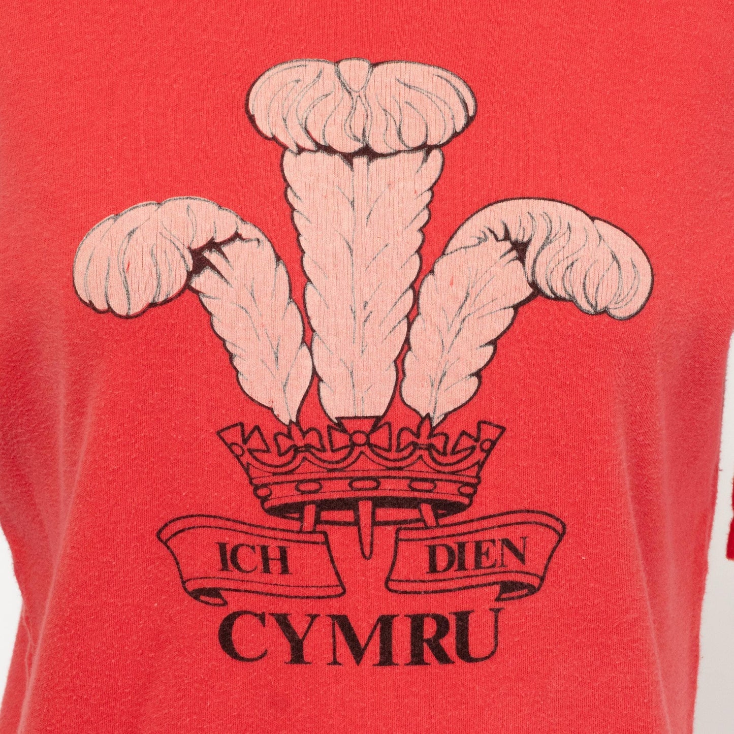 Vintage 70s Wales Graphic T Shirt - Large | Faded Red Welsh Heraldic Badge Feather Crest Tee