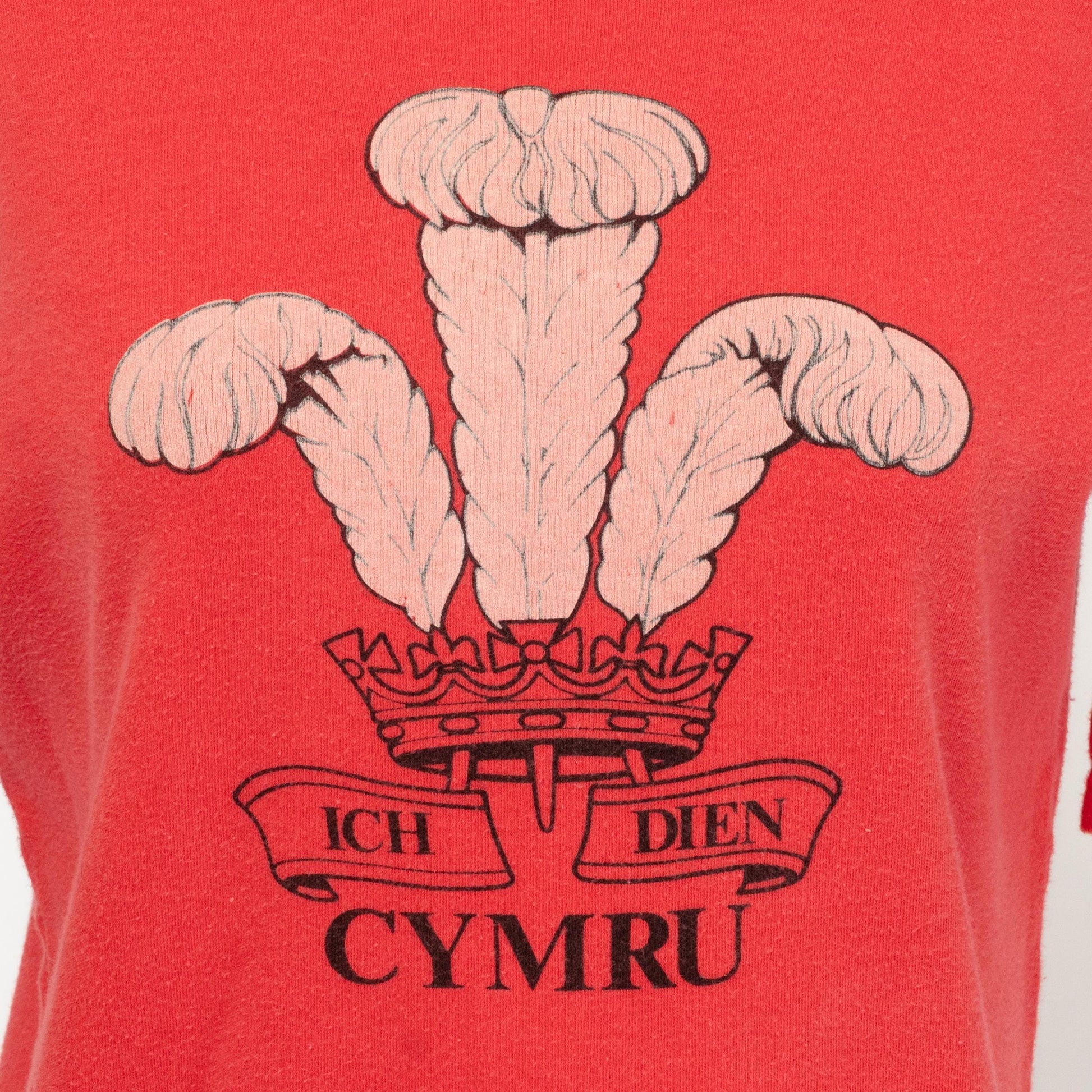Vintage 70s Wales Graphic T Shirt - Large | Faded Red Welsh Heraldic Badge Feather Crest Tee