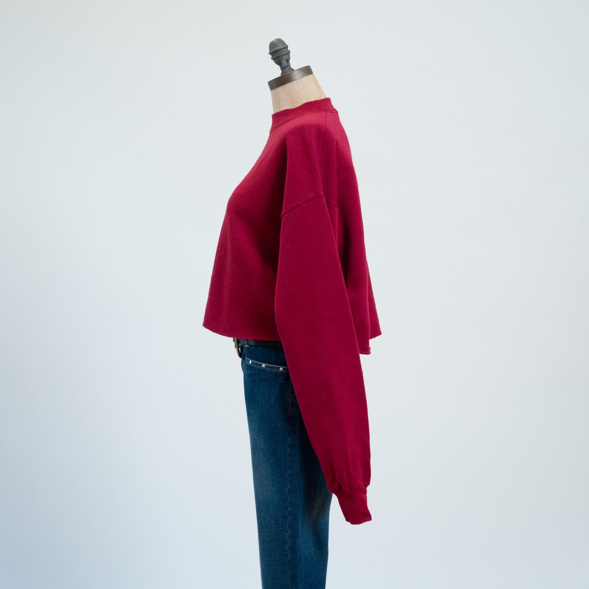 Vintage 90s Hummingbird Cross Stitch Cropped Sweatshirt - Extra Large | Wine Red Crewneck Crop Top