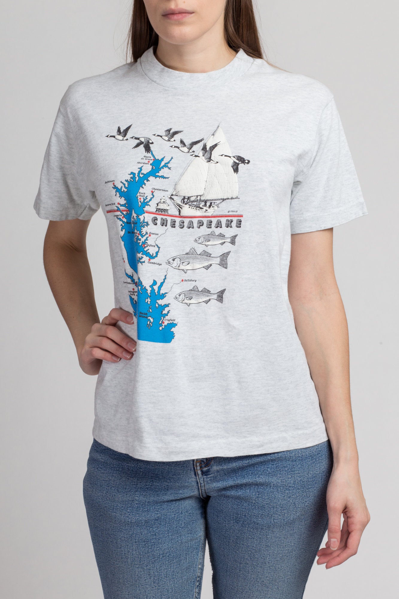 90s Chesapeake Bay Tourist Tee - Medium | Vintage Heather Gray Graphic Travel T Shirt
