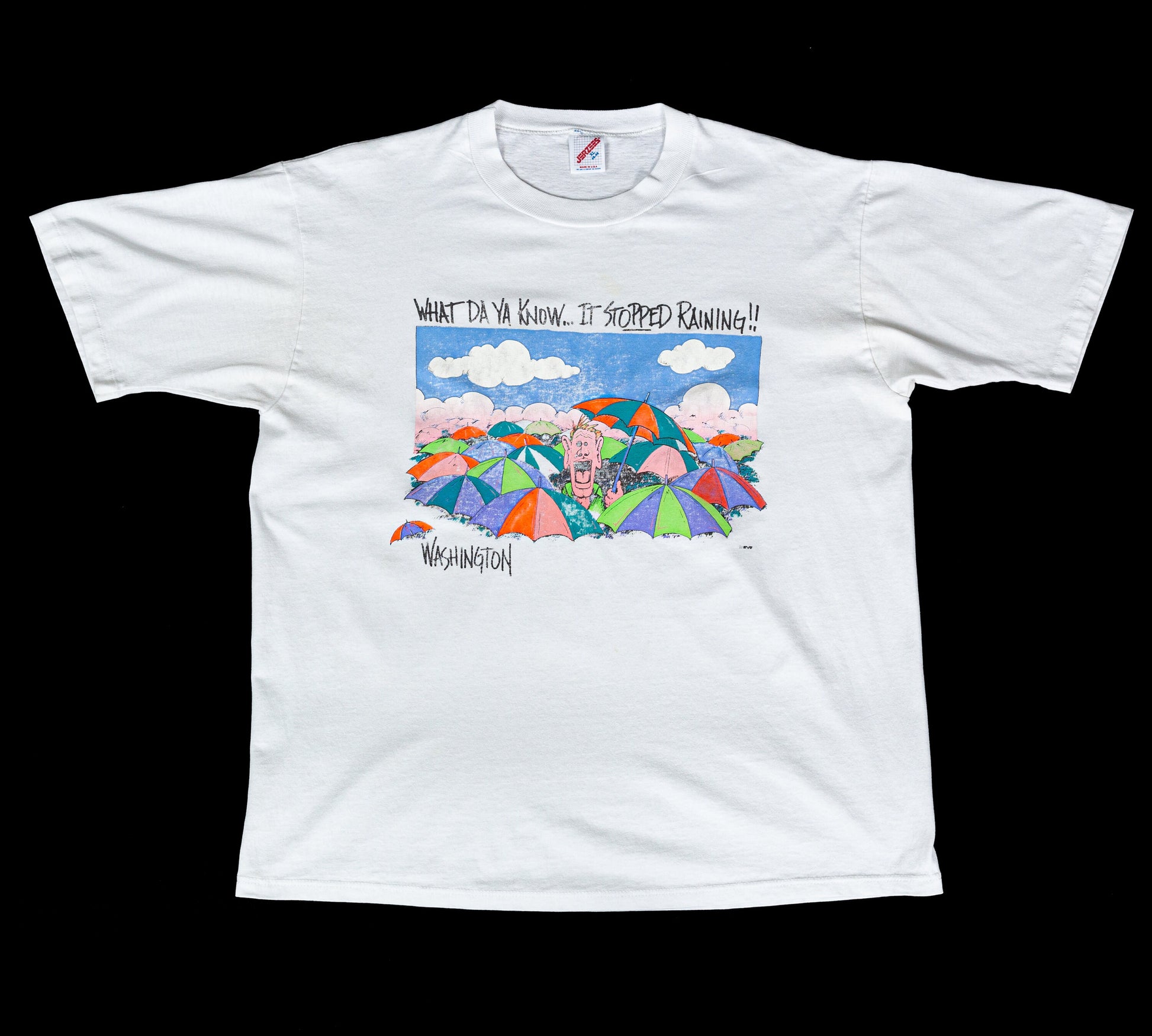 90s Washington "What Do Ya Know, It Stopped Raining!" Tee - Men's XL, Women's 2XL 
