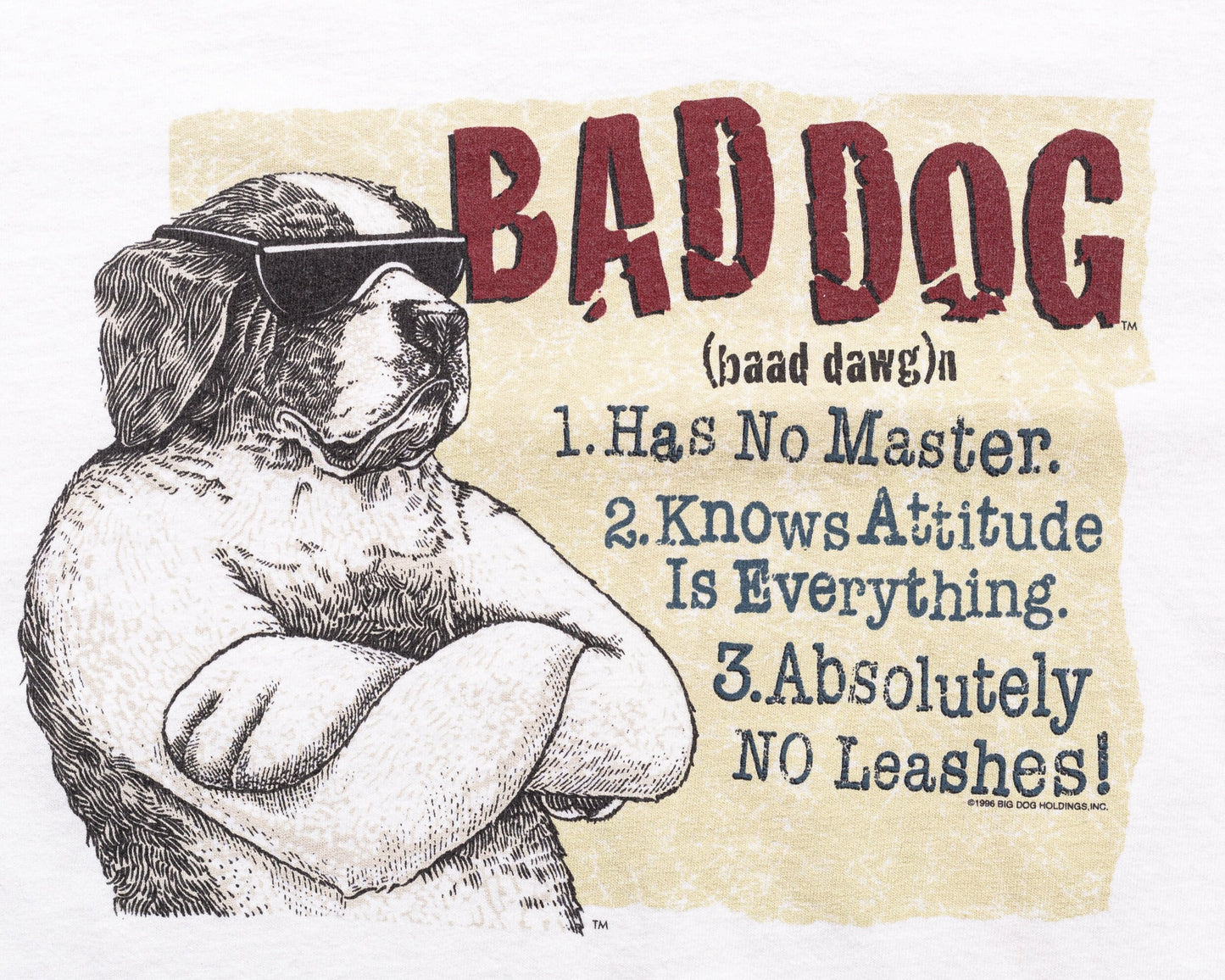 90s Big Dogs "Bad Dog" T Shirt - Medium 