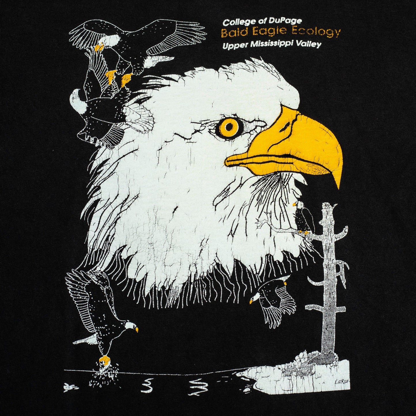 90s Bald Eagle Ecology T Shirt - Large | Vintage Black Graphic Animal Tee