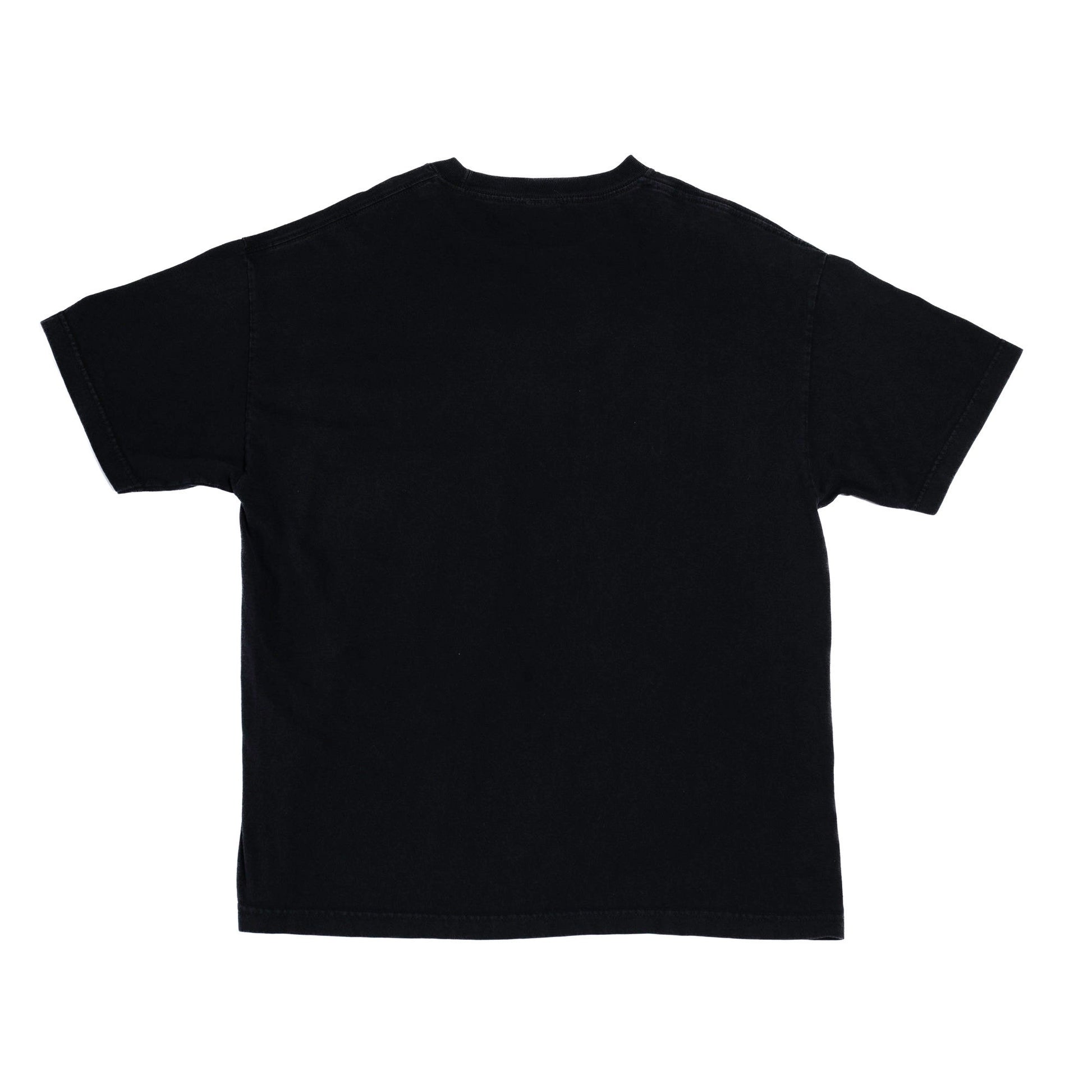 90s Dale Earnhardt Jr. NASCAR T Shirt - Extra Large | Vintage Graphic Black Race Car Promo Tee