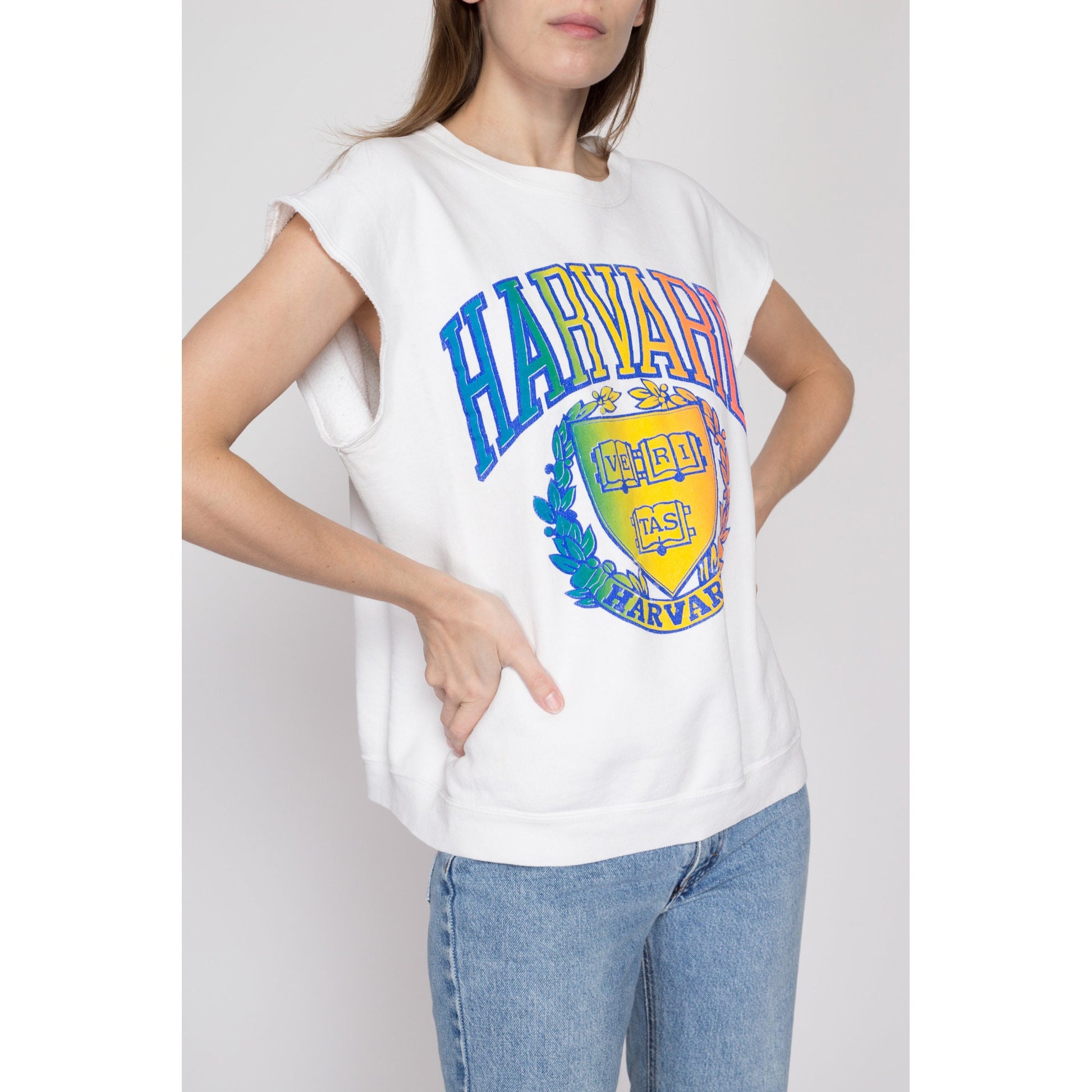 Large 90s Harvard University Rainbow Sweatshirt Top | Vintage Short Sleeve Collegiate Crew Neck Pullover