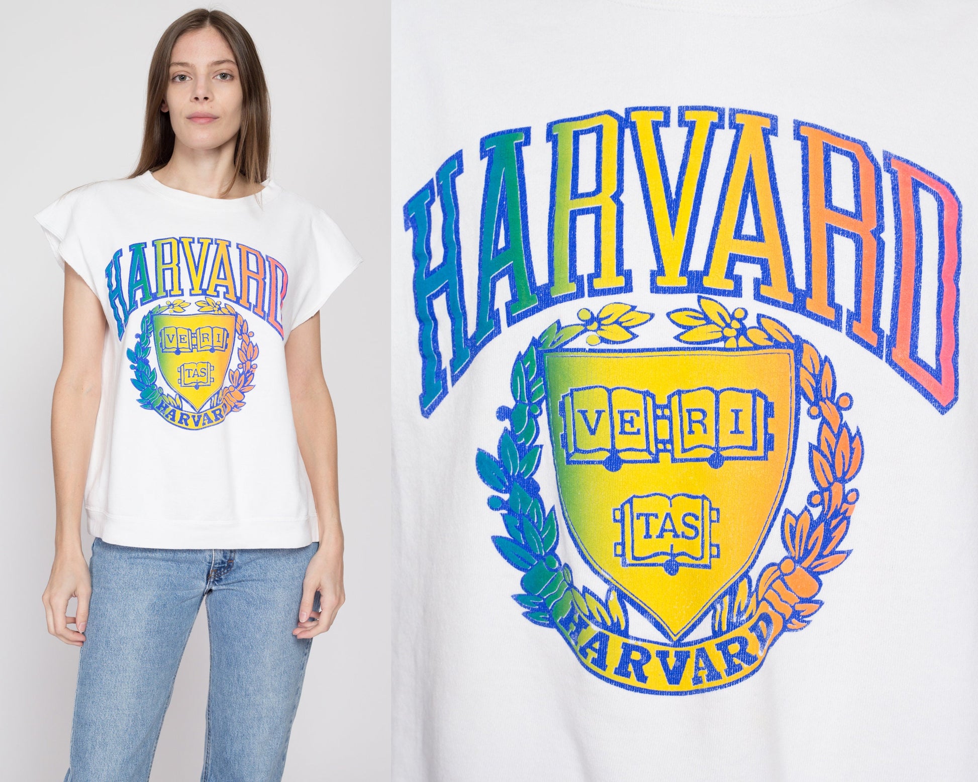 Large 90s Harvard University Rainbow Sweatshirt Top | Vintage Short Sleeve Collegiate Crew Neck Pullover